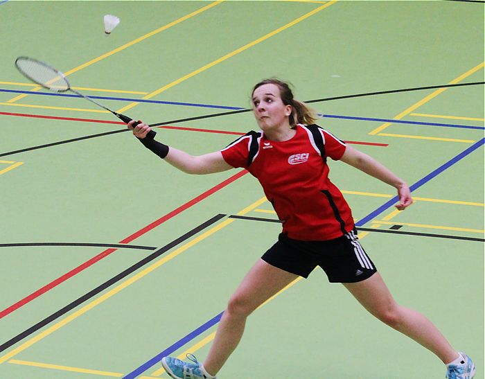 Sport-Club Itzehoe: Badminton