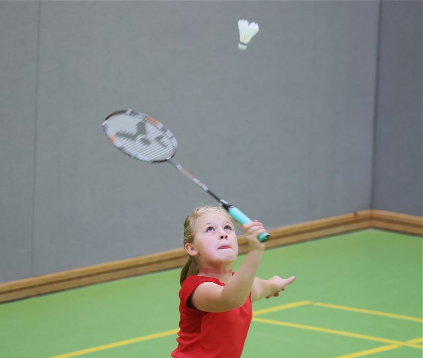 SC Itzehoe, SCI-Badminton